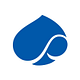 Capgemini